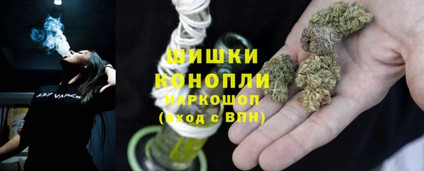 шишки Балабаново