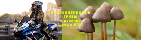 шишки Балабаново