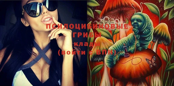 крисы Балахна